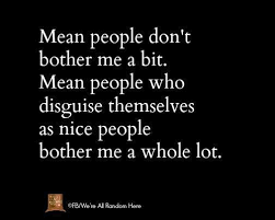 Mean People Dont Bother Me A Bit Mean People Who Disguise Themselves As Nice People Bother Me A Whole Lot Mean People Quotes Words Inspirational Quotes