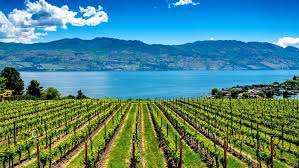 Maybe you would like to learn more about one of these? Kelowna Reisefuhrer Planet Of Hotels