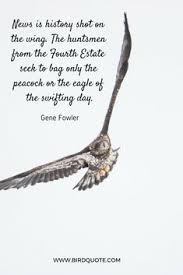 Birds see the natural habitat mirrored in the glass and fly directly into the window, causing injury and, in 50% or more of the cases, death. 44 Bird Quotes Ideas Bird Quotes Quotes Parrot Quotes