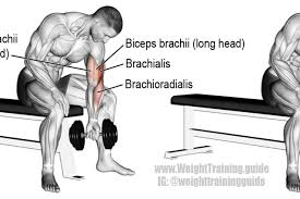 Pin On Arm Exercises