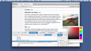 So you've completed home inspection there's always been a debate over what you should inspect and what kinds of tools you should use digital camera: Inspect And Select Colors Firefox Developer Tools Mdn