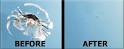 Is Your Windshield Repairable? - Car Windshields