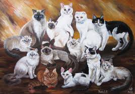 Сегодня праздник объединяет миллионы владельцев этих животных по всему миру. Vsemirnyj Den Koshek 8 Avgusta Stati Vse Interesnoe I Poznavatelnoe Pro Zveryushki Domashnie Pitomcy I Dikie Zhivotnye Koshki Prazdniki Eto Interesno