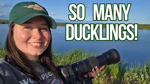 Engagement in Wildlife Photography