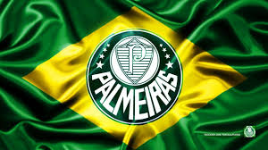 Nacional atlético clube são paulo são josé esporte clube são josé dos campos sociedade esportiva palmeiras são paulo associação desportiva são caetano são caetano do sul grêmio esportivo mauaense mauá ibrachina futebol clube ltda. 72 Ideias De A D R Amigos Do Rosario S E Palmeiras Palmeirense Grupo De Amigos Palmeiras