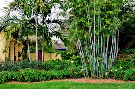 Carefully plan out the spacing and design elements of your landscape. Landscape Ideas South Florida Front Yard Garden Design