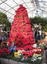 Krohn Conservatory Christmas 2021 Fantastic Christmas Display Picture Of Krohn Conservatory Cincinnati Tripadvisor