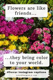 Maybe you would like to learn more about one of these? 175 Best Instagram Captions For Flower Photos 2021