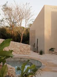 Image result for Galopina