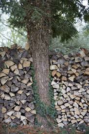 The Well Kept Woodpile 10 Tips To Stack And Care For Firewood Outdoors Gardenista Firewood Storage Outdoor Firewood Storage Firewood