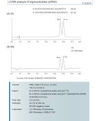 Nt covid vaccine rollout imminent after arrival of australia 39 s first pfizer shipment abc news. Covid 19 Info Source Ymc