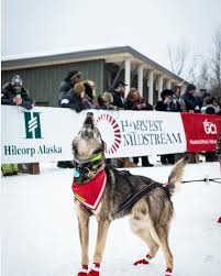 Tuesday evening. I heard from our musher today!! Who's ready for the  update?! 🙋🏼‍♀️ Current time: 8:15pm Race elapsed time: 2days 6hrs. I  received a brief update from Jeff via InReach text