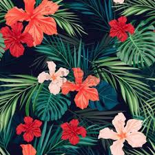 Premium hawaiian wallpaper photos | reid deckow was informed. History Of Tropical Pattern Tropical Illustration Pattern Wallpaper Plant Illustration