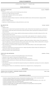 Sql Server Dba Resume Sample Mintresume