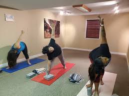 Maybe you would like to learn more about one of these? Yoga Studio Tree Of Life 3 Now Open On Voss Road In Sugar Land Community Impact