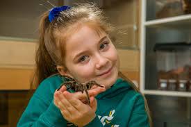 Meet the eight-year-old conservationist Hollie Greenhalgh who loves spiders  so much that she shares her bedroom — with more than 50 of them! 😅😅😅  Hollie first fell in love with creepy crawlies
