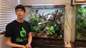 36 X 18 X 36 Exo Terra Bioactive Terrarium Build For Chinese Gliding Frogs Youtube