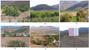 Petorca province — admin asc 2 code orig. Water Free Full Text Lessons To Be Learned Groundwater Depletion In Chile S Ligua And Petorca Watersheds Through An Interdisciplinary Approach