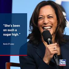 HOOK, LINE & SINKER: Kevin O'Leary says Vice President Kamala Harris can't  hide from the press much longer. His prediction