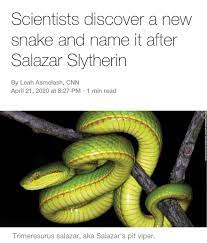 What That S Awesome Https Www Cnn Com 2020 04 21 World Salazar Slytherin Pit Viper Trnd Index Html In 2020 Pit Viper Viper Slytherin