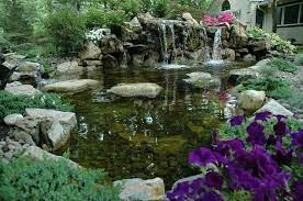 Natural Stepping Stone Bridge Taking A Walk In This Backyard Is As Much Meditation As Exercise In Pond Water Features Backyard Bridges Japanese Garden Style