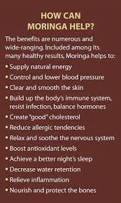 Moringa Tea Coconut Health Benefits Moringa Benefits Lemon Benefits