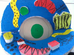 Check spelling or type a new query. 530 Contoh Gambar Sel Hewan Dari Plastisin Gratis Terbaik Gambar Hewan