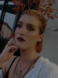 𝓰𝓲𝓷𝓰𝓮𝓻 𝓿𝓪𝓷 𝓽𝓸𝓭𝓭 (@ginger.van.todd)