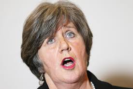 National Women's Council head to stand for Fine Gael