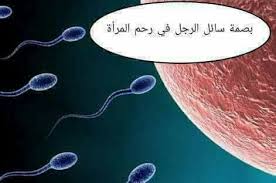 بصمة ماء الرجل في جسد المرأة من معجزات يوميات طالب سوداني Facebook