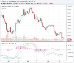 The rainbow chart is meant to be be a fun way of looking at long term price movements, disregarding the daily volatility noise. Bitcoin Price Hits Yearly Low At 5 825 Where Will It Bottom Out