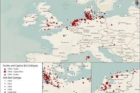 Russia has reported the first case of a bird flu strain, h5n8, being passed from poultry to humans. Apha Provides Science Evidence Quickly Leading To The First Detection Of Bird Flu In The United Kingdom Apha Science Blog