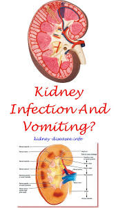 Is Kidney Disease Curable