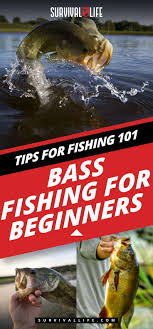 Bass Fishing For Beginners How To Videos Fishing Tips Bass