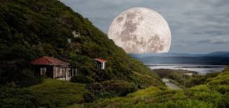 Suivre le calendrier lunaire est pour. Le Calendrier Lunaire Des Champignons Wemystic France