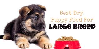 Best Dry Puppy Food For Large Breed Puppies Large Breed Food