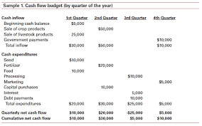 Understanding Cash Flow Analysis