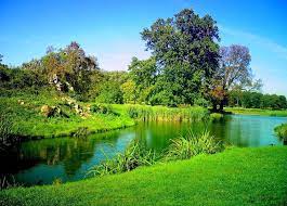 Maybe you would like to learn more about one of these? Free Nature Hd Wallpapers Download Group 84