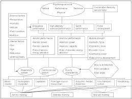 Basis Of Sports Training