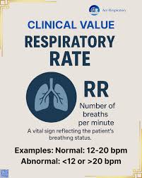 Image result for Respiratory Rate