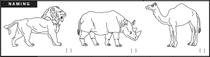 The test of the head is to find a camel, it's a test to see who can develop alzheimer's. Donald Trump S Mental Health Exam Doesn T Show What He Says Time