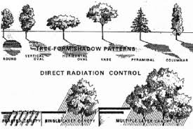 Fig 3 Types Of Tree Form Shadow Pattern Above Direct Radiation Control And Landscape Architecture Drawing Landscape Tree