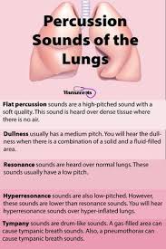 Nursing Health Assessment Of The Respiratory System Health Assessment Nursing Respiratory Therapy Student Pathophysiology Nursing