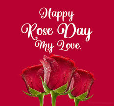 Mei gui mei gui wo ai ni. 90 Rose Day Wishes Messages And Quotes Wishesmsg