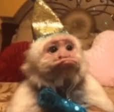 Deborah Demarco (dehmarcoo)