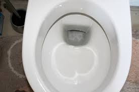 Weitere ideen zu basteln, toilettenrolle basteln, klopapierrollen basteln. Toilette Hausmittel Tipps Frag Mutti