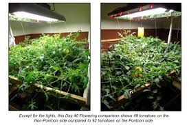 However, it enhances the total growth of the plant by helping balance the two photosystems that work together during photosynthesis to increase overall efficiency. Far Red Grow Lighting Grozinegrozine
