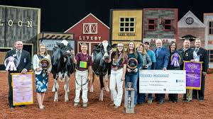 Six year old Sallie wins International Jr. Holstein show at WDE
