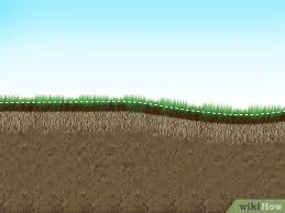 Golf courses need a level surface right away for the members, we lawn guys can. 4 Ways To Topdress A Lawn Wikihow