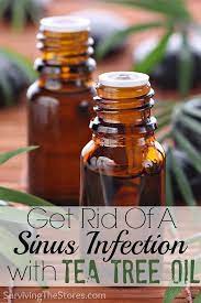 How To Use Tea Tree Oil To Get Rid Of A Sinus Infection It Really Works I Ve Saved So Much Mon Natural Home Remedies Sinus Infection Remedies Tea Tree Oil